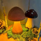 Fungi | Le Champignon Qui Illumine Vos Nuits !